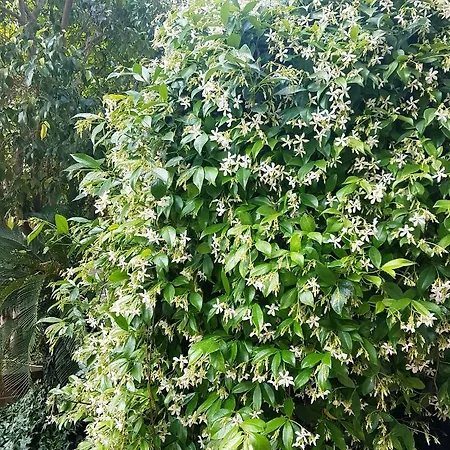 Semesterbostad Marco's House *