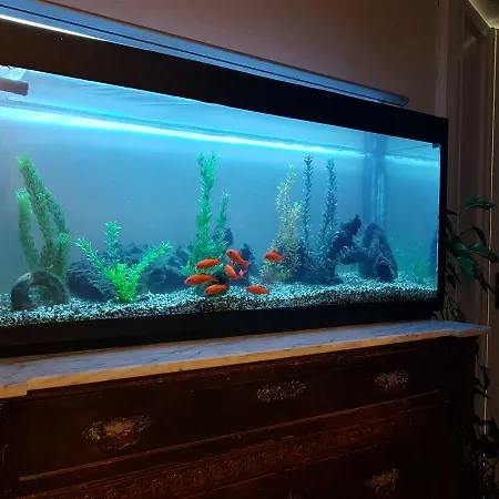 Marco's House Dolianova