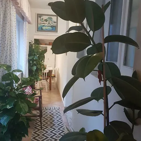 Marco's House Semesterbostad Dolianova