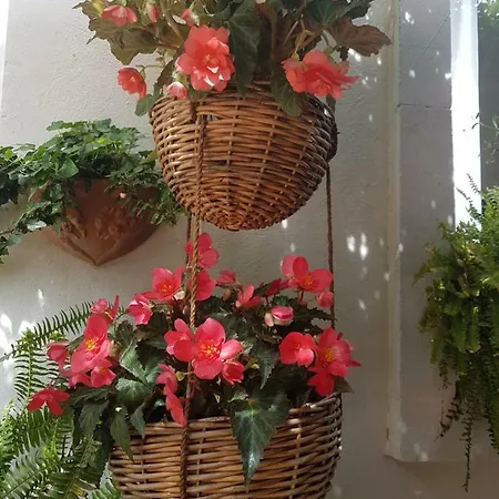 Marco's House Casa vacanze