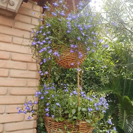 Marco's House Dolianova