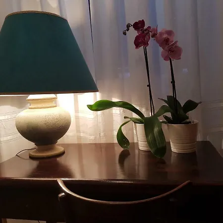 Marco's House *