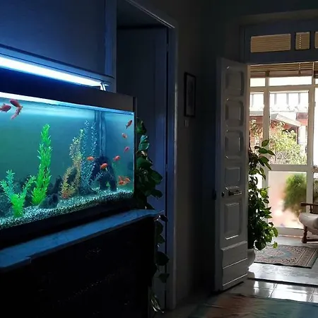 Marco's House Дом отдыха