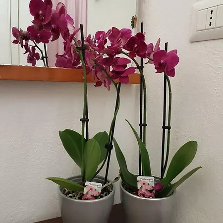 Marco's House * Dolianova